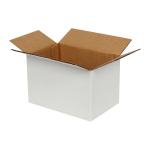 15x10x10 Cm Enkele Witte Golfdoos