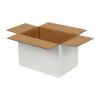 15x10x10 Cm Enkele Witte Golfdoos