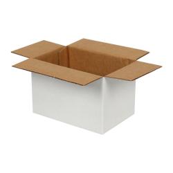 15x10x10 Cm Enkele Witte Golfdoos