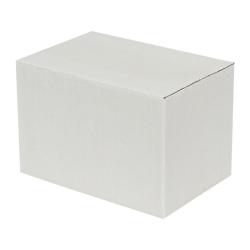 15x10x10 Cm Enkele Witte Golfdoos