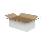20x15x10 Cm Wit Enkele Doos Van Golfkarton