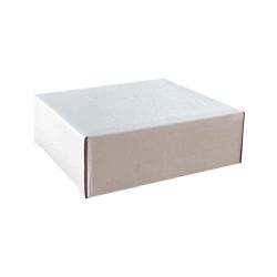 8x3x9,5 Cm Doos Amerikaans Gesloten Wit