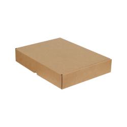 39,5x31x6,5 Cm Ready Box Kraft Ziplock