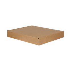 77x54x8 Cm Dubbele Gegolfde Ziplock Box Kraft