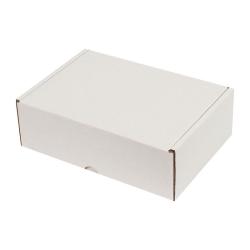 10x10x4,5 Cm Witte E-Commerce Verzenddoos