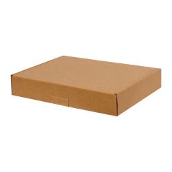 43,5x30,5x13,5 Cm A3 Doos Dubbel Gegolfd
