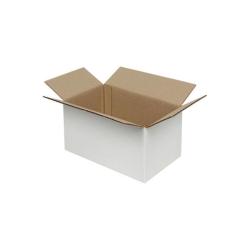10x6x5 Cm Pakket Wit Karton Enkel Gegolfd